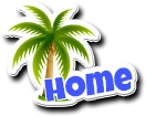RTSI Home Icon